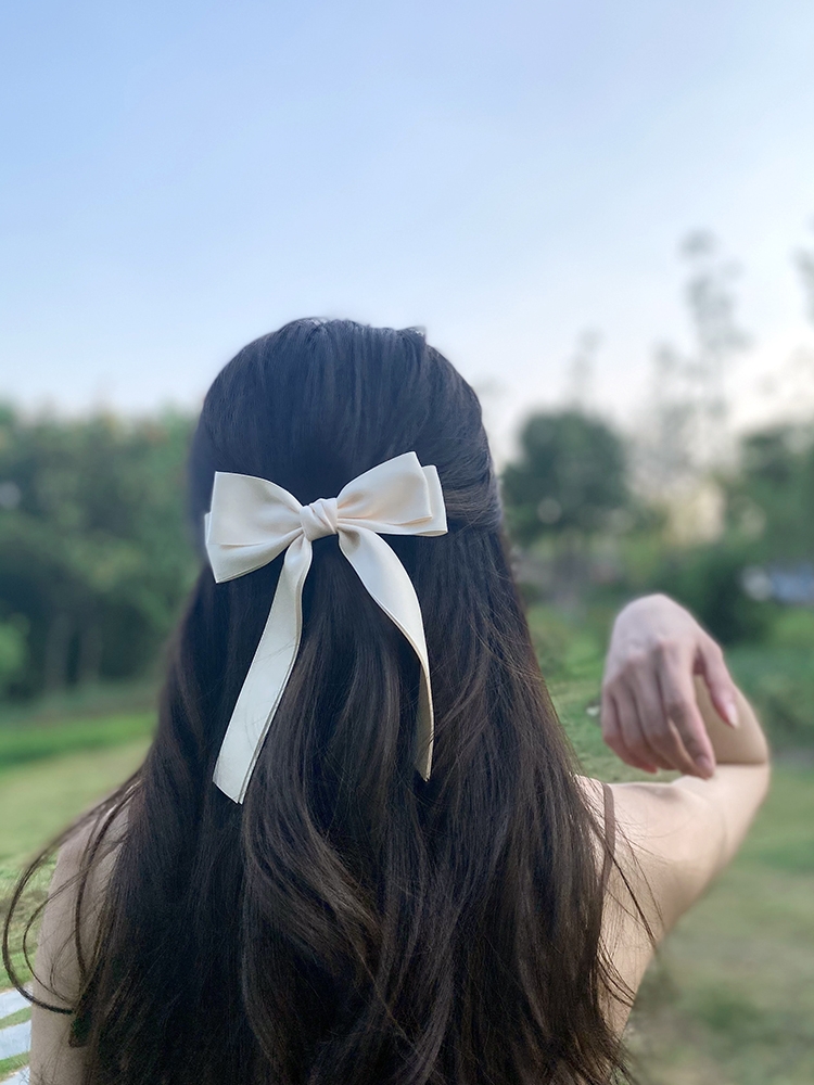 Eleganti Fermagli per Capelli  - Bobby Pin Bulk recensione e prezzo